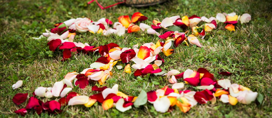 08.08.2015 - Keltische Hochzeit im Garten: Linda und Martin
