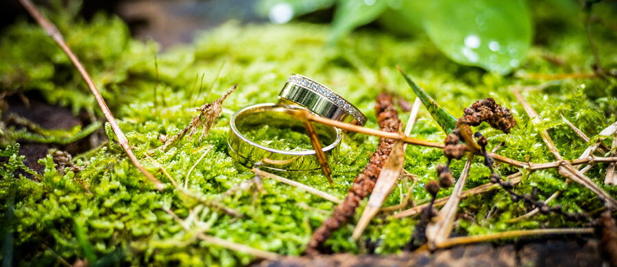 22.08.2014 - Hochzeit in Hameln: Chrisso und Salvo